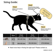Load image into Gallery viewer, Escape Proof Cat Vest Harness and Car Seat Belt Adapter Adjustable Reflective Cat Harness Soft Mesh Harness for Kitten Puppy
