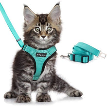Load image into Gallery viewer, Escape Proof Cat Vest Harness and Car Seat Belt Adapter Adjustable Reflective Cat Harness Soft Mesh Harness for Kitten Puppy
